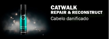 Catwalk Repair & Reconstruct