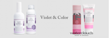 Violet & Color