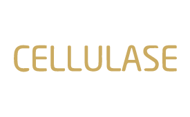 Cellulase