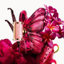 Carolina Herrera La Bomba Eau de Parfum 50ml Coffret