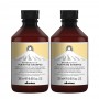 Davines Naturaltech Purifying Shampoo 2x250ml