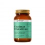 Ecogenetics Enzimas Digestivas 90 comprimidos