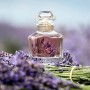 Guerlain Mon Guerlain Eau de Parfum 30ml