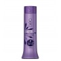 Haskell Ametista Condicionador 300ml