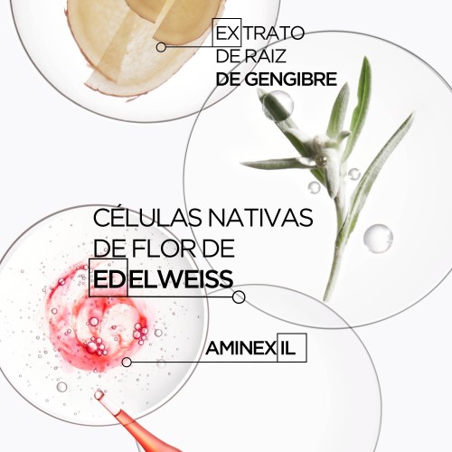 Kérastase Genesis Ampoule Cure 10x6ml