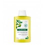 Klorane Capilar Shampoo Polpa de Cidra 200ml