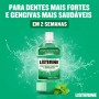 Listerine Listerine Proteção Dentes & Gengivas 1000ml
