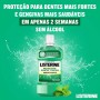 Listerine Proteção Dentes & Gengivas Sabor Suave 1000ml