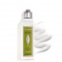 L'Occitane Verbena Leite Corporal 250ml
