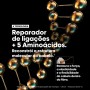 L'Oréal Absolut Repair Molecular Shampoo 100ml