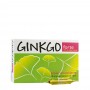 Ginkgo Forte 20 ampolas