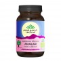 Organic India Amalaki 90 cápsulas