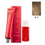 Schwarzkopf Igora Royal 8-4 Louro Claro Beige 60ml + Oxidante 20V