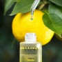 Shiseido Waso Yuzu-c Glow-On Shot Serum 28ml