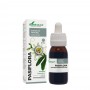Pasiflora Extrato Natural 50ml