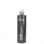 Tahe Silver Shampoo Corretor de Tom 300ml